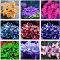 500 PCS Seeds Hosta Seeds Mixed 12 Colors