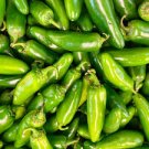 60 PCS Seeds Hot Chili Peppers
