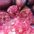 10 PCS Seeds Imported Rose Pink Bliss Finger Lime Plant 10 PCS Seeds Imported Rose Pink Bliss Finger Lime Plant