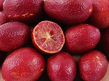 10 PCS Seeds Imported Rose Red Finger Lime Pomegrante Plant