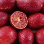 10 PCS Seeds Imported Rose Red Finger Lime Pomegrante Plant