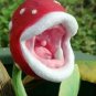 100 PCS Seeds Insect catching Plant Enchantress Carnivorous Bonsai