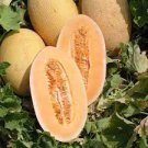 20 PCS Seeds Italian Ananas Hami Melon Fruits
