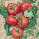 200 PCS Seeds Italian Tree Tomato 'Trip L Crop'
