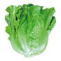 80 PCS Seeds Italy Lettuce Organic Green Vegetable