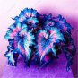 100 PCS Seeds Janpanse Bonsai Coleus Plants