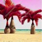 20 PCS Seeds Japan Blue Bottle Palm Plants Multi-Color Exotic Plants Tree Balcony Bonsai