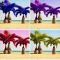 20 PCS Seeds Japan Blue Bottle Palm Plants Multi-Color Exotic Plants Tree Balcony Bonsai