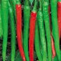 5 PCS Seeds Jintai jin Jiao 1.0 Red Pod Pepper Chili Vegetable