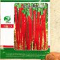 1000 PCS Seeds Jintai Red Line Pepper