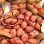10 PCS Seeds Jumbo Virginia Peanuts Untreated