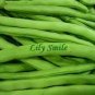 10 PCS Seeds Kidney Bean Seeds Green Bean Vegetables