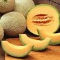 10 PCS Seeds Korea Sweet Melon Seeds Very Delicious Hami Melon Muskmelon
