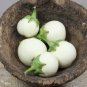 200 PCS Seeds Lao White Eggplant