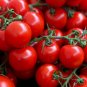 100 PCS Seeds Large Tomato Middle Red Truss Plant