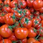 100 PCS Seeds Large Tomato Middle Red Truss Plant