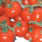 100 PCS Seeds Large Tomato Middle Red Truss Plant