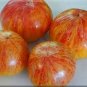 100 PCS Seeds Large Tomato Seeds Glowing Gold Neon Red Stripes Fruits
