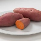 100 PCS Seeds Leguminosae sweet potato 100 PCS Seeds Leguminosae sweet potato