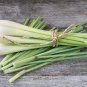 400 PCS Seeds Lemon Grass Seeds Herb Edible Lemongrass Kitchen Vegetable