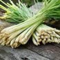 400 PCS Seeds Lemon Grass Seeds Herb Edible Lemongrass Kitchen Vegetable