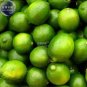 20 PCS Seeds Lemon Mexican Green Fruit Tree