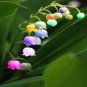 100 PCS Seeds Lily of The Valley Flower Bonsai, Bell Orchid Bonsai Plants
