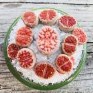 10 PCS Seeds Lithops Karasmotana Var mickbergensis 10 PCS Seeds Lithops Karasmotana Var mickbergensis