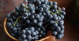 100 PCS Seeds Little Bee' Black Grape Fruit