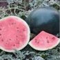 8 PCS Seeds Long Big Black Skin Pink Watermelon Fruit