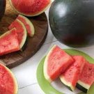 10 PCS Seeds Long Black Sweet Juicy Watermelon