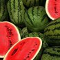 10 PCS Seeds Long Black Sweet Juicy Watermelon