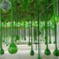 10 PCS Seeds Long Handle Dipper Gourd