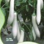 20 PCS Seeds Long White Eggplants, Organic Heirloom Vegetables