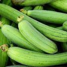 10 PCS Seeds Loofah Luffa Green Fat Vegetable 10 PCS Seeds Loofah Luffa Green Fat Vegetable
