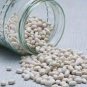 100 PCS Seeds Lot Mini Magic White Bean Seeds Gift Plant