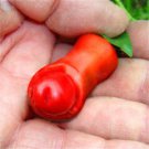 200 PCS Seeds Magical Vegetable 200 PCS Seeds Magical Vegetable