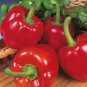 200 PCS Seeds Magical Vegetable