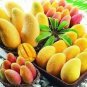 20 PCS Seeds Mango-like Yellow Middle Bonsai Fruits