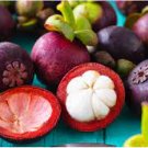 50 PCS Seeds Mangosteen Tropical Sour Sweet Fruit Garden Plants Tree Bonsai 50 PCS Seeds Mangosteen Tropical Sour Sweet Fruit Garden Plants Tree Bonsai