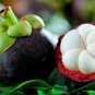 50 PCS Seeds Mangosteen Tropical Sour Sweet Fruit Garden Plants Tree Bonsai