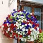 200 PCS Seeds Many Color Hanging Petunia Bonsai