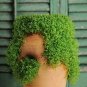 50 PCS Seeds Mentha Requienii Seeds Mint Plant Bonsai Flower