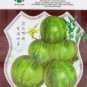 300 PCS Seeds Middle Green Tomato with Dark Green Stripe Original