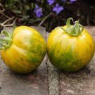 30 PCS Seeds Middle Green Tomato with Yellow Stripe Organic