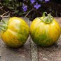 30 PCS Seeds Middle Green Tomato with Yellow Stripe Organic