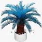 10 PCS Seeds MiNI Blue Sago Cycas Bonsai Revolute Plant Bonsai