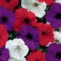 100 PCS Seeds Mini Calibrchoa Million Bells Petunia
