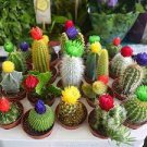 10 PCS Seeds Mix Cactus Echinopsis Tubiflora Ball Cactus Perennial Succulent Plants Bonsai