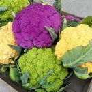 300 PCS Seeds Mix Four Varieties Cauliflower Seeds Professional Pack 300 PCS Seeds Mix Four Varieties Cauliflower Seeds Professional Pack
